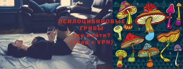 mdpv Арсеньев