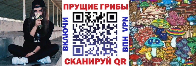 купить наркотик  Баймак  Галлюциногенные грибы Cubensis 