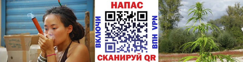 где продают   Баймак  Марихуана Bruce Banner 